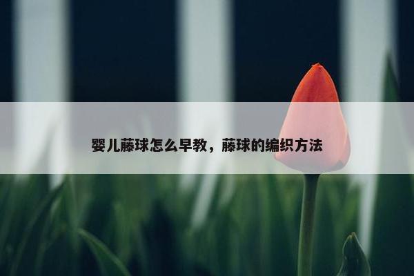 婴儿藤球怎么早教，藤球的编织方法