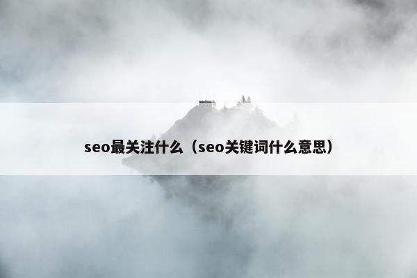 seo最关注什么（seo关键词什么意思）