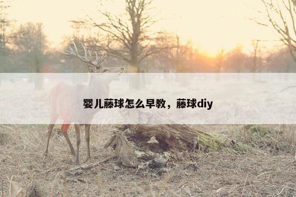 婴儿藤球怎么早教，藤球diy