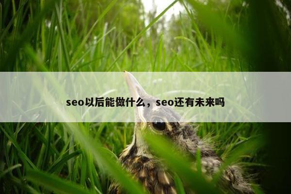 seo以后能做什么，seo还有未来吗