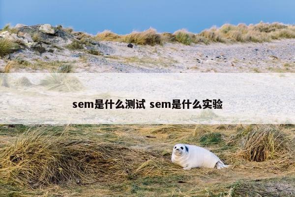 sem是什么测试 sem是什么实验