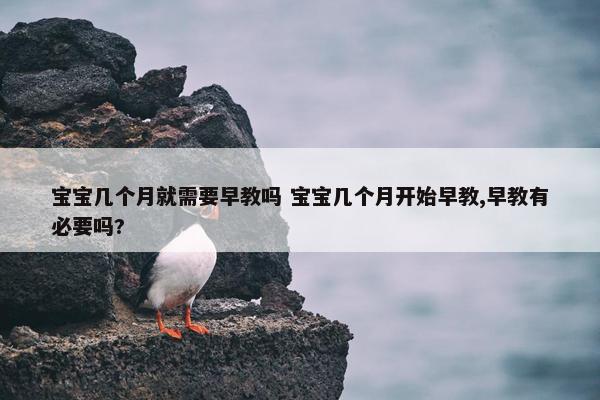 宝宝几个月就需要早教吗 宝宝几个月开始早教,早教有必要吗?