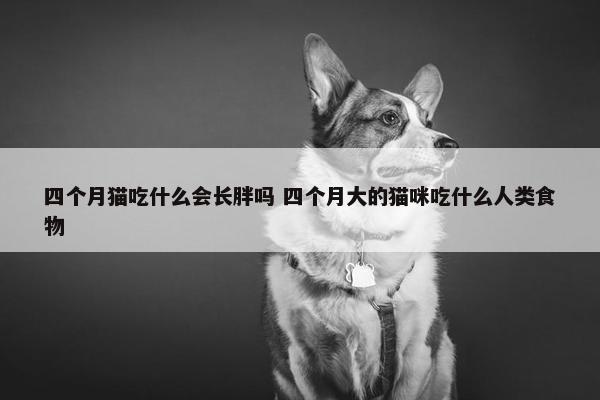 四个月猫吃什么会长胖吗 四个月大的猫咪吃什么人类食物