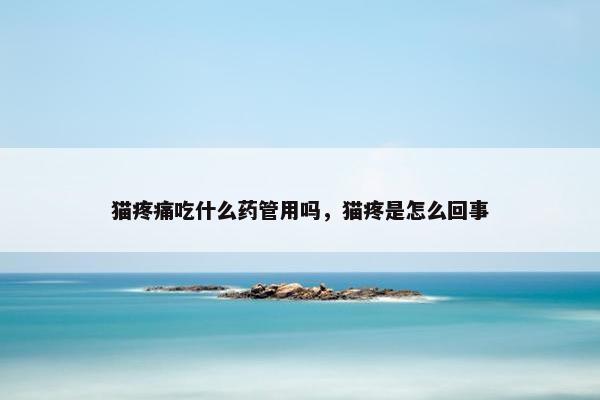 猫疼痛吃什么药管用吗，猫疼是怎么回事