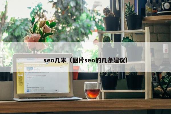 seo几米（图片seo的几条建议）