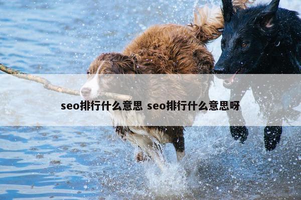 seo排行什么意思 seo排行什么意思呀