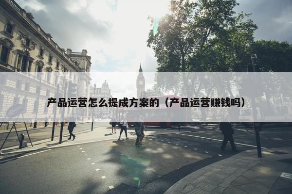 产品运营怎么提成方案的（产品运营赚钱吗）