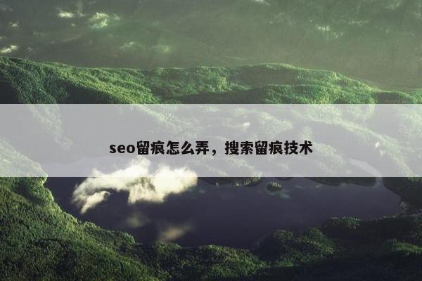 seo留痕怎么弄，搜索留痕技术