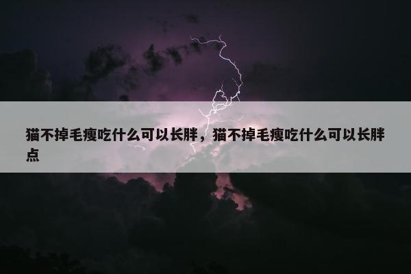 猫不掉毛瘦吃什么可以长胖，猫不掉毛瘦吃什么可以长胖点