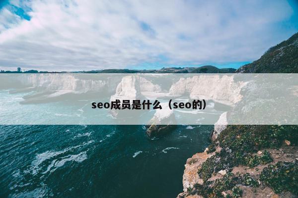 seo成员是什么（seo的）