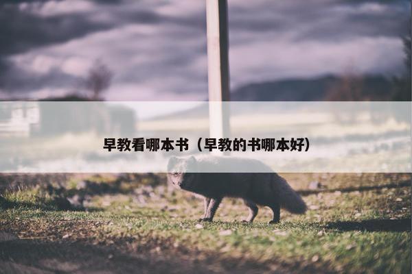 早教看哪本书（早教的书哪本好）