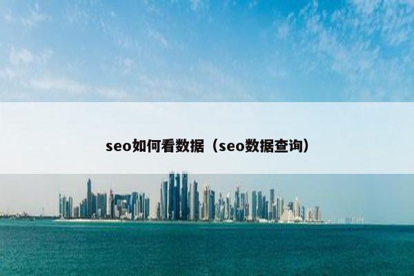 seo如何看数据（seo数据查询）