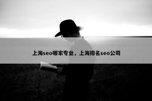 上海seo哪家专业，上海排名seo公司