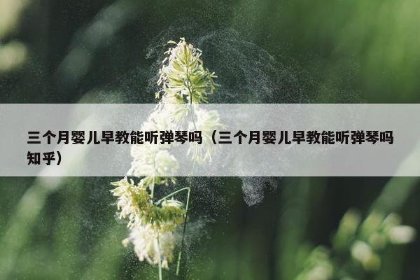 三个月婴儿早教能听弹琴吗（三个月婴儿早教能听弹琴吗知乎）