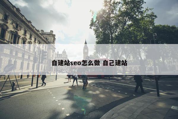 自建站seo怎么做 自己建站