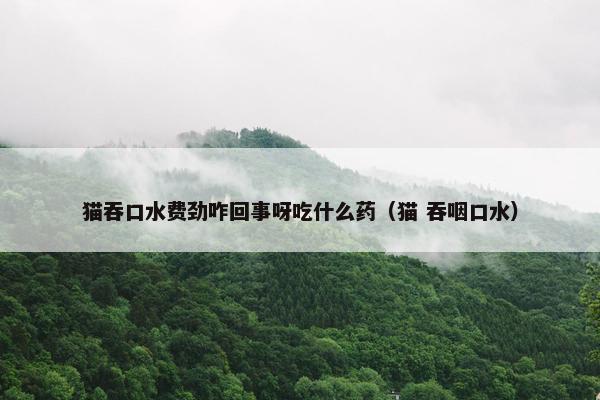 猫吞口水费劲咋回事呀吃什么药（猫 吞咽口水）