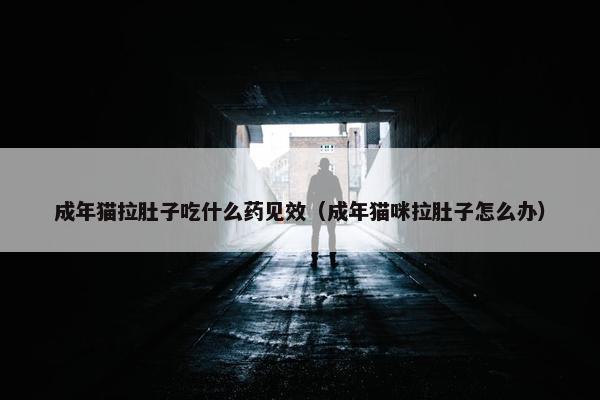 成年猫拉肚子吃什么药见效（成年猫咪拉肚子怎么办）