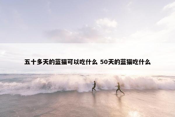 五十多天的蓝猫可以吃什么 50天的蓝猫吃什么