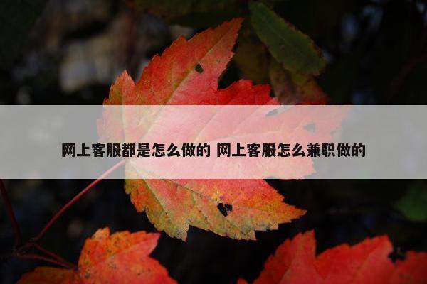 网上客服都是怎么做的 网上客服怎么兼职做的