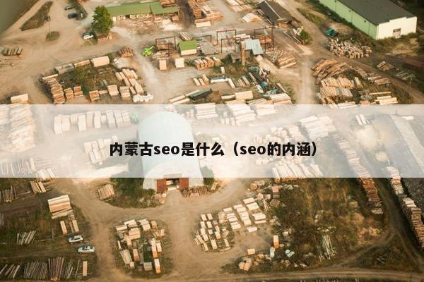 内蒙古seo是什么（seo的内涵）