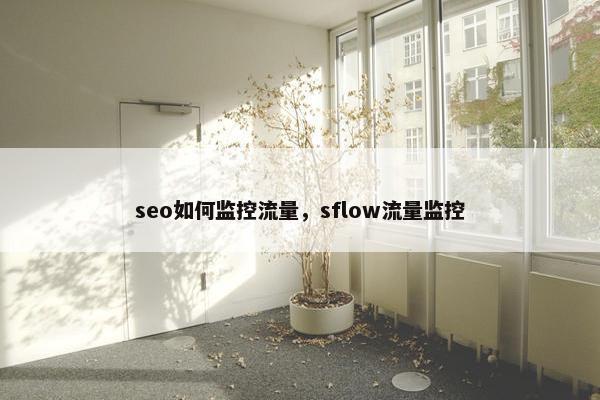 seo如何监控流量，sflow流量监控