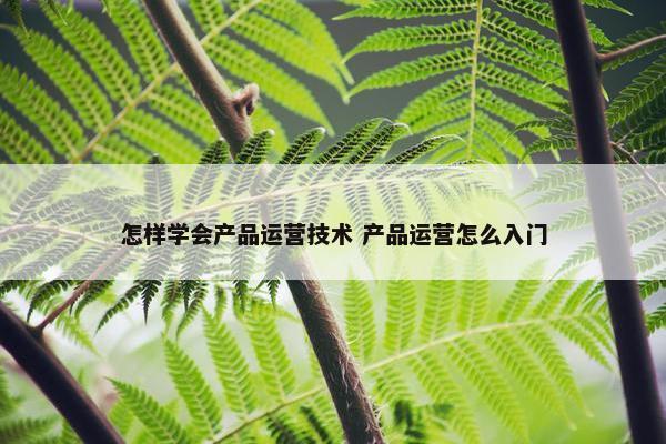 怎样学会产品运营技术 产品运营怎么入门