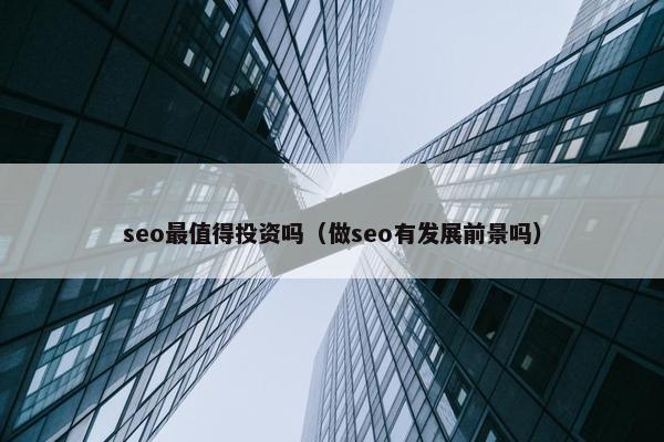 seo最值得投资吗（做seo有发展前景吗）