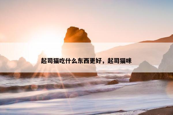 起司猫吃什么东西更好，起司猫咪