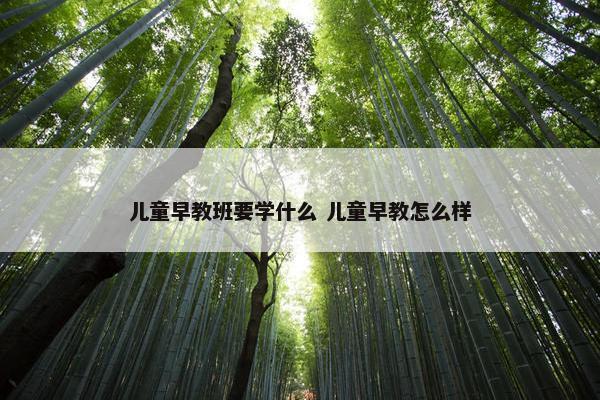 儿童早教班要学什么 儿童早教怎么样