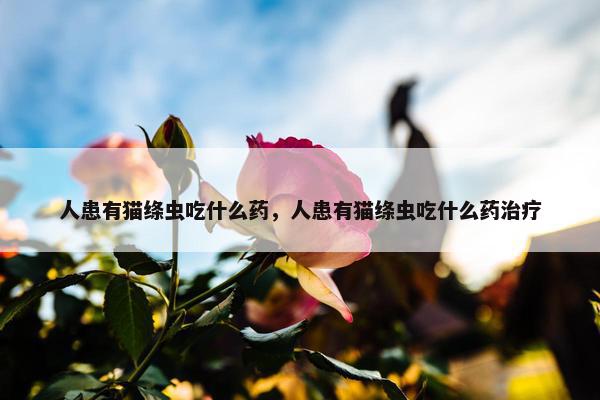 人患有猫绦虫吃什么药，人患有猫绦虫吃什么药治疗