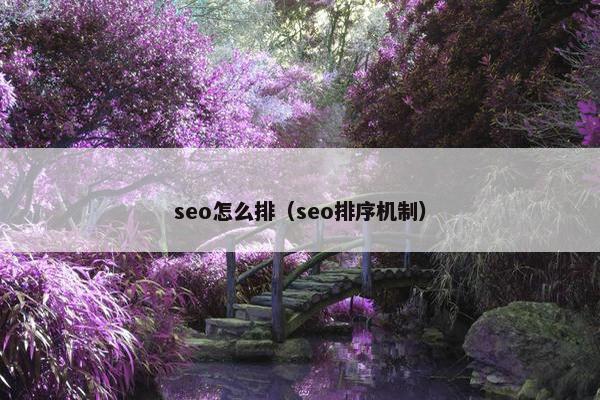 seo怎么排（seo排序机制）