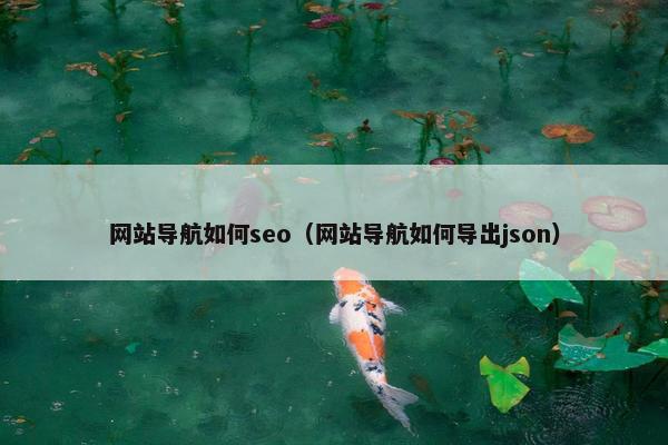 网站导航如何seo（网站导航如何导出json）