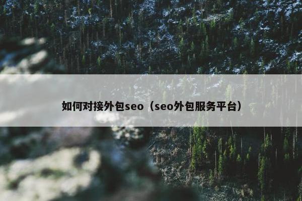 如何对接外包seo（seo外包服务平台）