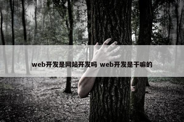 web开发是网站开发吗 web开发是干嘛的