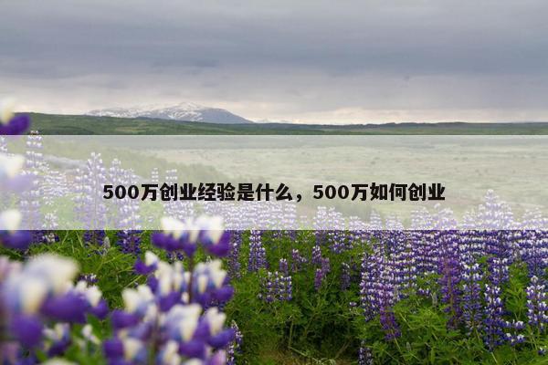 500万创业经验是什么，500万如何创业