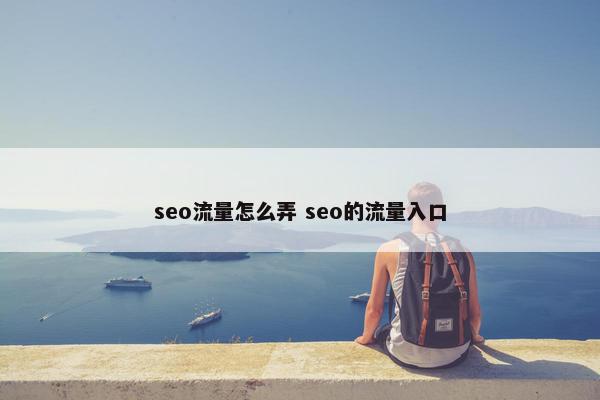 seo流量怎么弄 seo的流量入口