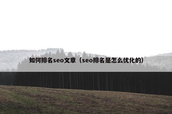 如何排名seo文章（seo排名是怎么优化的）