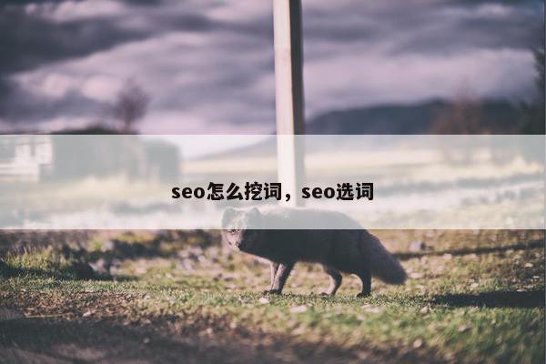 seo怎么挖词，seo选词