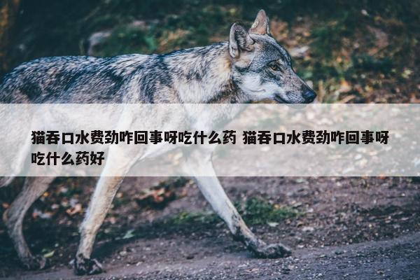 猫吞口水费劲咋回事呀吃什么药 猫吞口水费劲咋回事呀吃什么药好