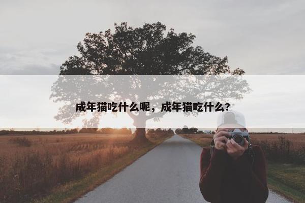 成年猫吃什么呢，成年猫吃什么?