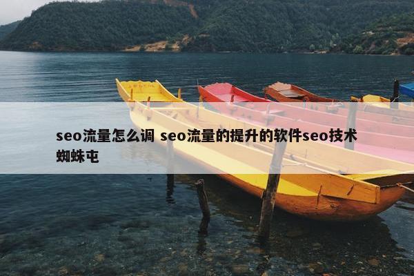 seo流量怎么调 seo流量的提升的软件seo技术蜘蛛屯