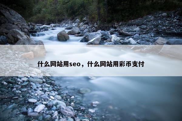 什么网站用seo，什么网站用彩币支付