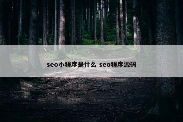 seo小程序是什么 seo程序源码