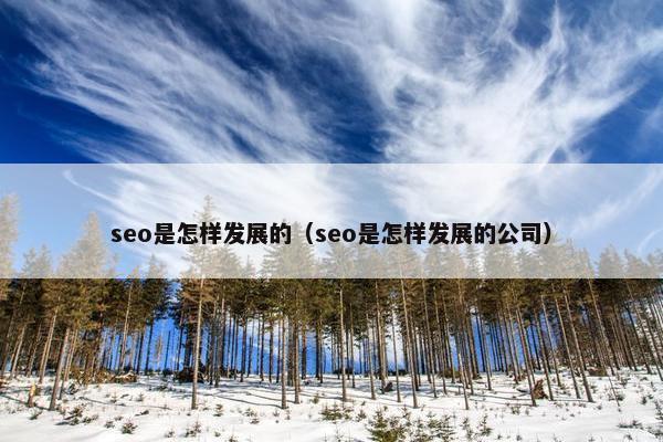 seo是怎样发展的（seo是怎样发展的公司）