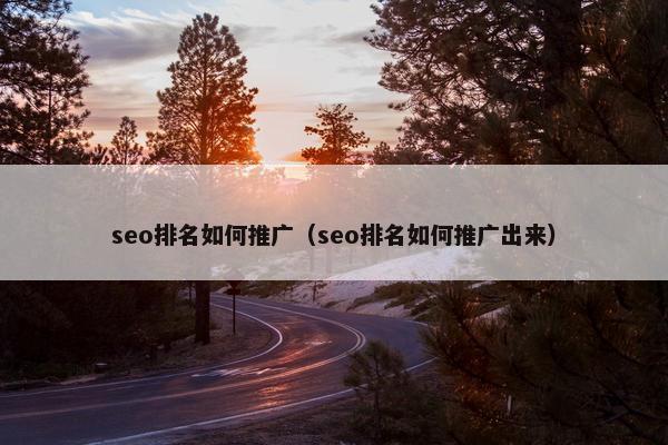 seo排名如何推广（seo排名如何推广出来）