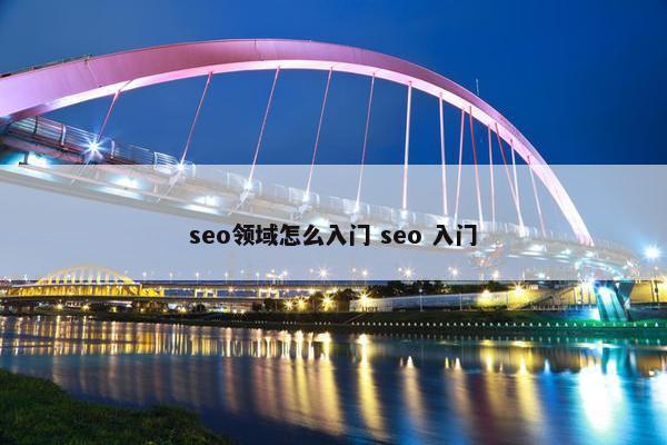 seo领域怎么入门 seo 入门