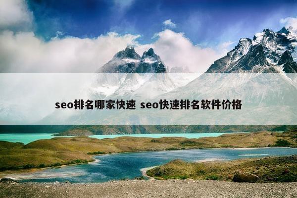 seo排名哪家快速 seo快速排名软件价格