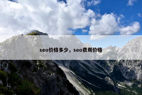 seo价格多少，seo费用价格