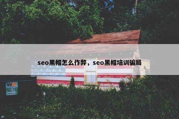 seo黑帽怎么作弊，seo黑帽培训骗局