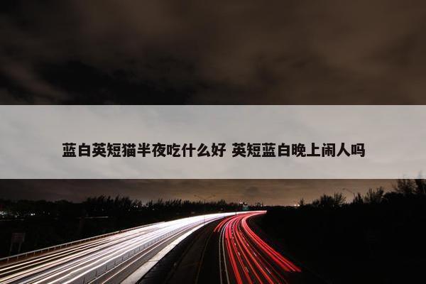 蓝白英短猫半夜吃什么好 英短蓝白晚上闹人吗